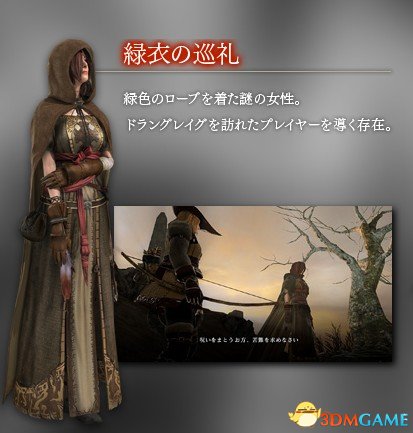 黑暗之魂2 PC版 果体MOD补丁及使用方法教程