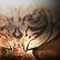 17Saa80a9.png