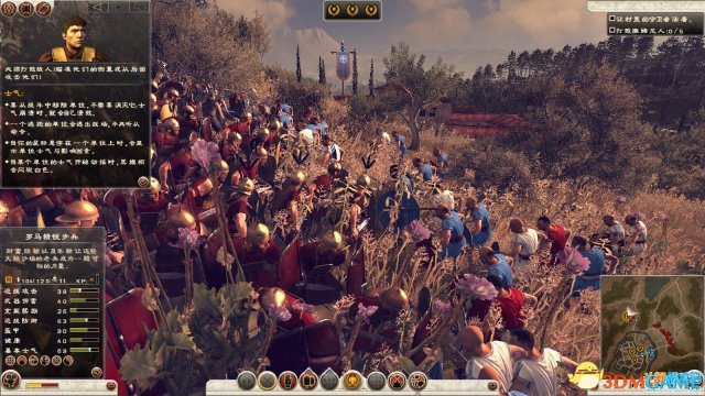 罗马2：全面战争 去除高级兵种招募限制MOD 8.0可用