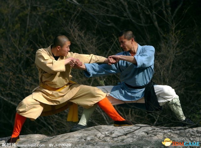 大灾变：劫后余生 武术体系详解攻略