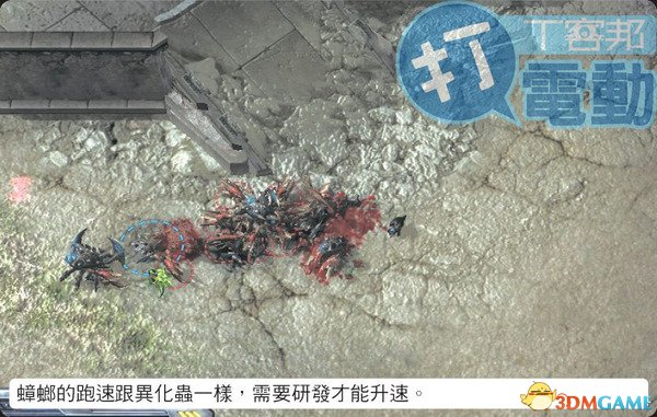 《星际争霸2:自由之翼》蟑螂组合刺蛇战术