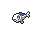 《宝可梦：剑/盾》铠之孤岛弱丁鱼图鉴