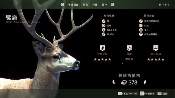 狩猎之道五星白尾鹿骡鹿怎么捕猎
