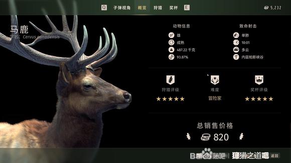 狩猎之道五星马鹿怎么捕猎