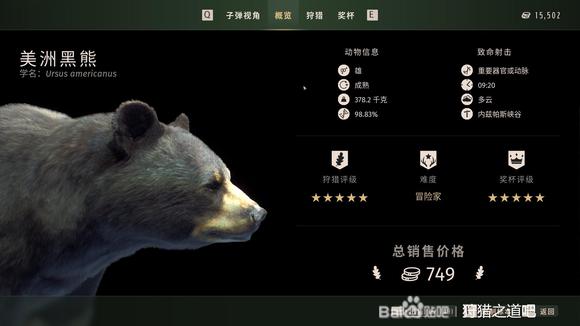 狩猎之道五星美洲黑熊怎么狩猎