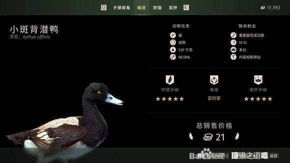 狩猎之道五星小斑背浅鸭细嘴鸭怎么捕猎