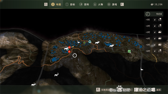 狩猎之道五星小斑背浅鸭细嘴鸭怎么捕猎