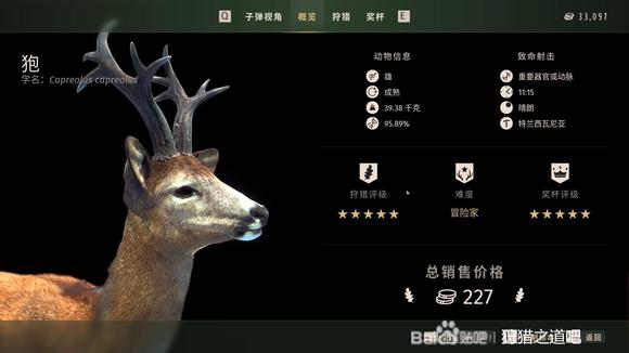 狩猎之道五星狍怎么捕猎