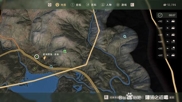 狩猎之道五星欧洲野兔怎么捕猎