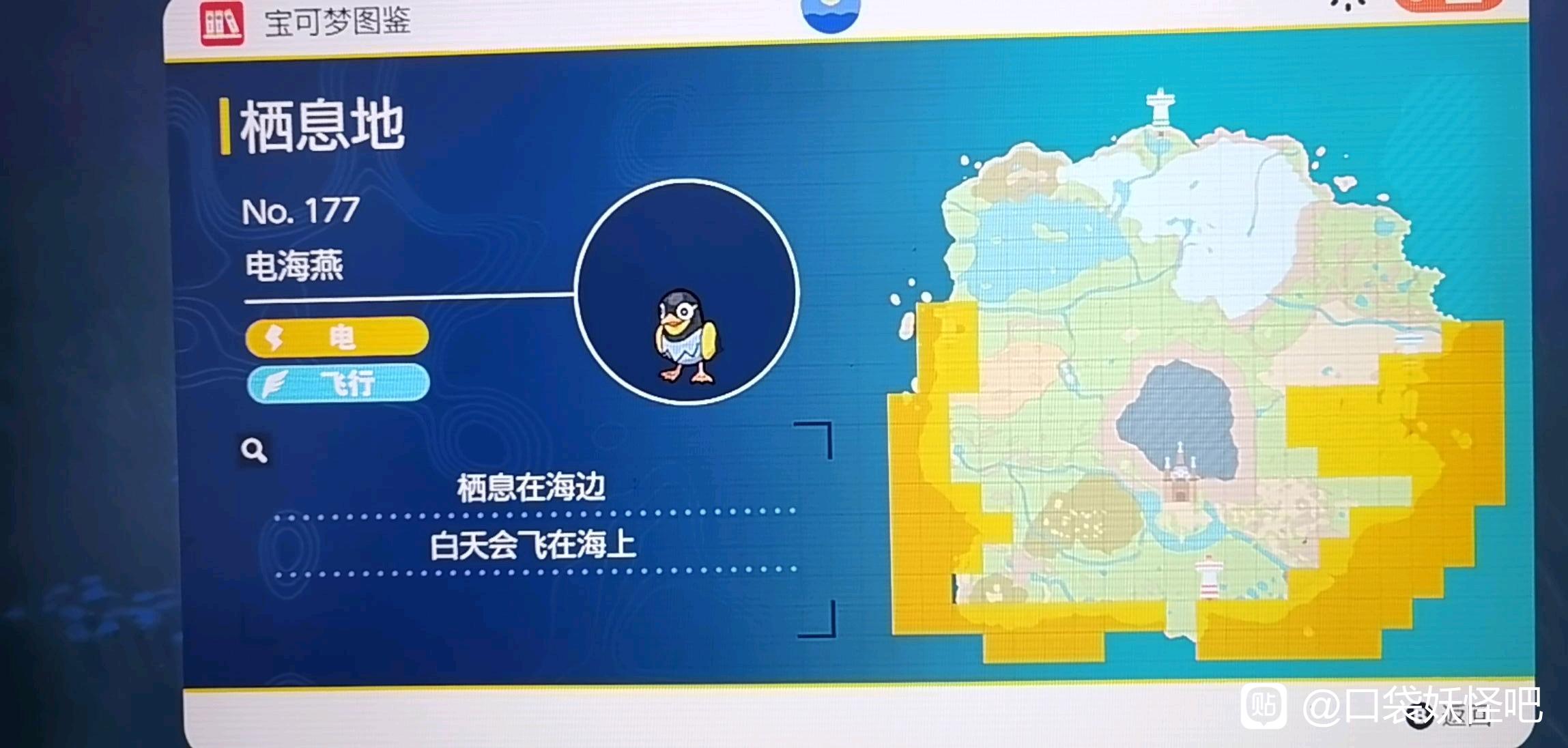 宝可梦朱紫朱版本电海燕在哪里抓