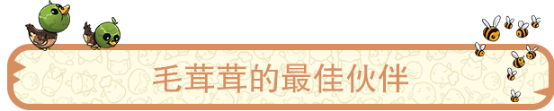 梦幻谷有什么特色内容