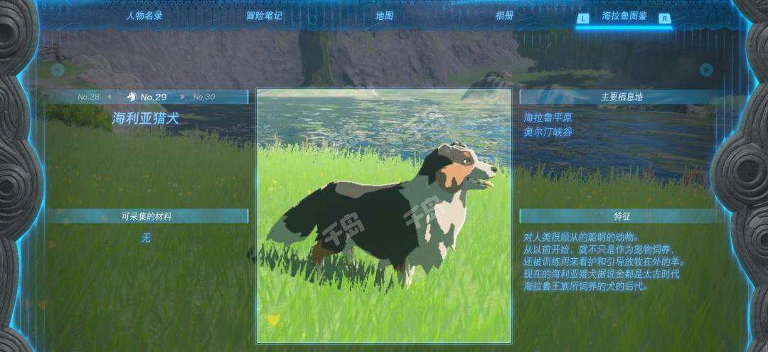 塞尔达传说王国之泪海利亚猎犬在哪里