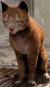 辐射76猫在哪