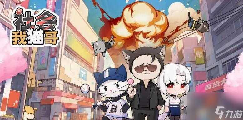 社会我猫哥价格表
