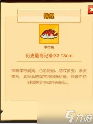 疯狂骑士团攻略大全