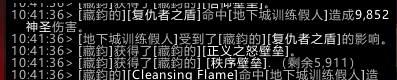 魔兽世界10.2防骑套装效果测试
