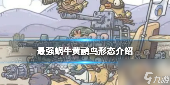 《最强蜗牛》黄鹂鸟形态介绍
