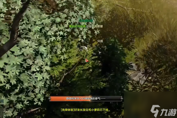 命运方舟艾弗格雷斯的巢穴摩可可在哪获得