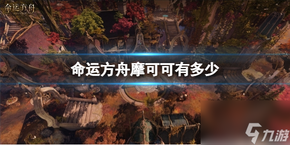 《命运方舟》摩可可数量介绍