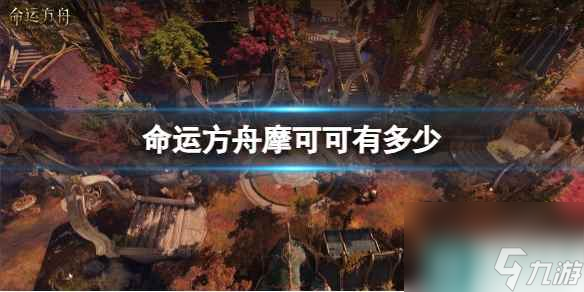 《命运方舟》摩可可数量介绍