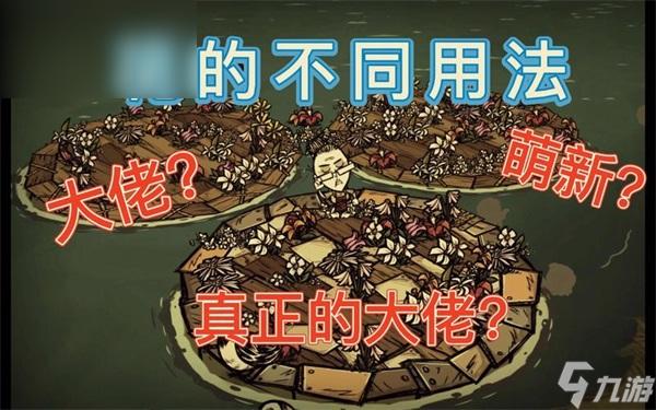 饥荒花有什么用