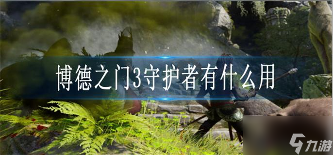 博德之门3守护者有什么用