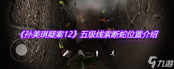《孙美琪疑案12》五级线索断蛇位置介绍